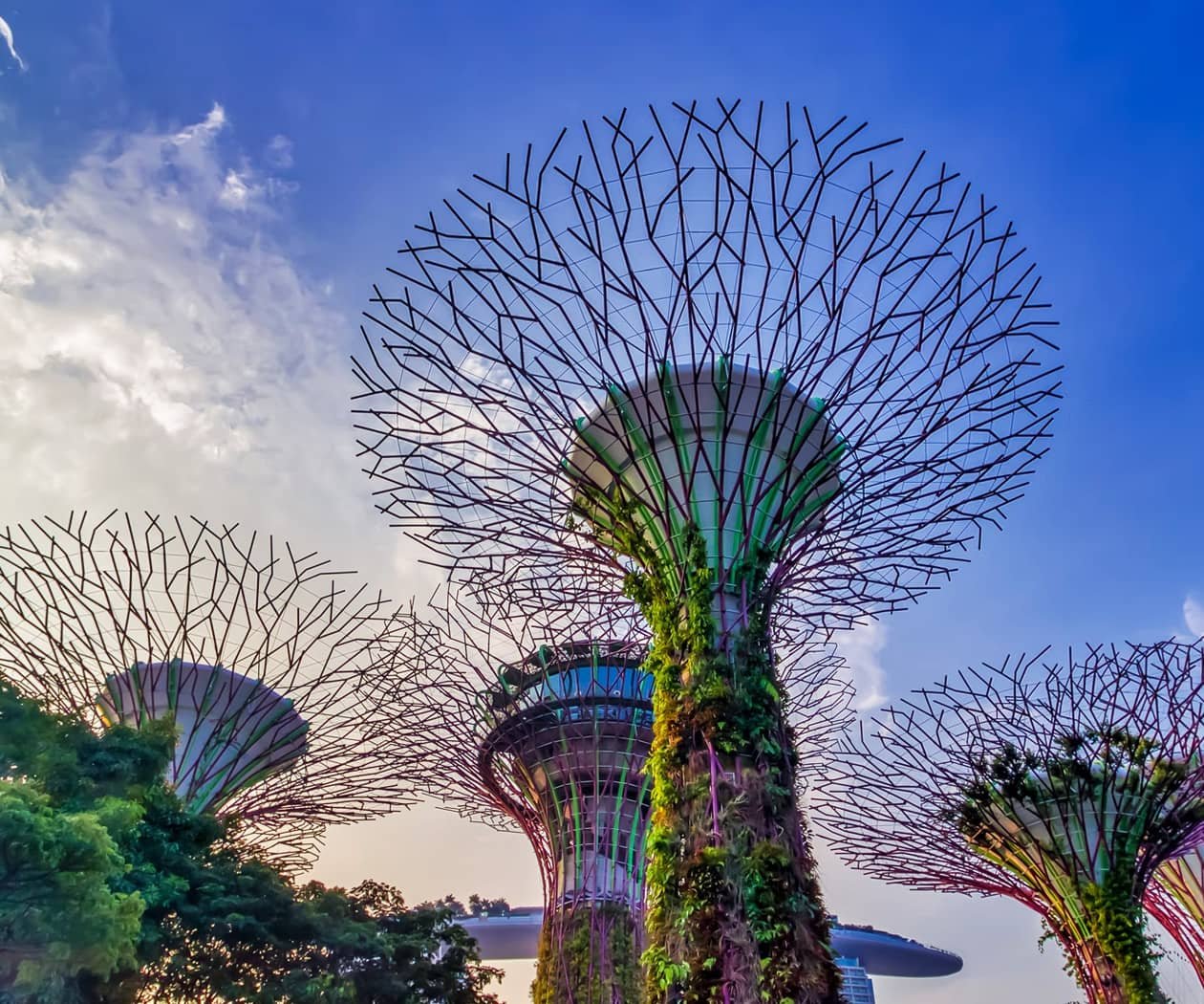 Super Tree Grove Singapore Super Tree Grove Singapore